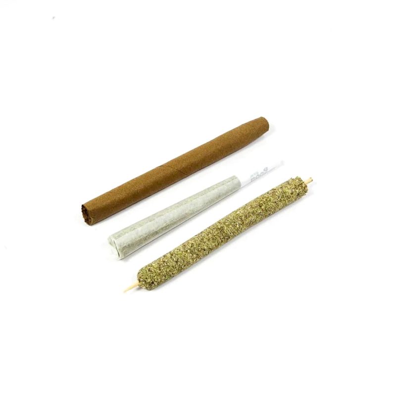 PurpleRoseSupplyPersonalCannagar2 4gMoldKit00006 3cef287b 77f8 4247 a5cc dea5dfaf418c